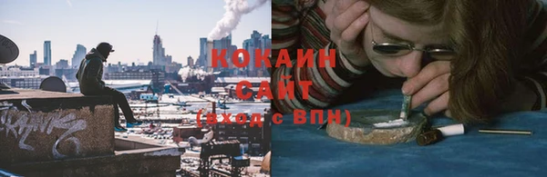 соль ск Абаза