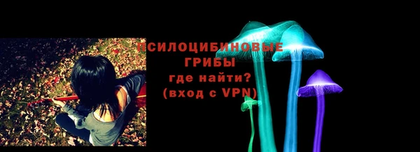 соль ск Абаза