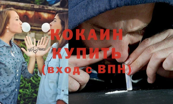 соль ск Абаза