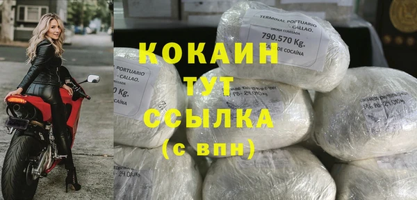 соль ск Абаза