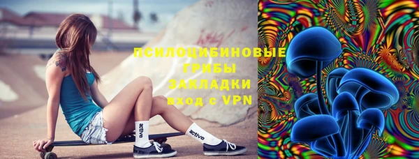 соль ск Абаза
