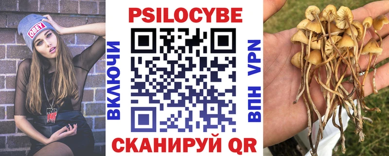 это телеграм  Приволжский  Псилоцибиновые грибы GOLDEN TEACHER 